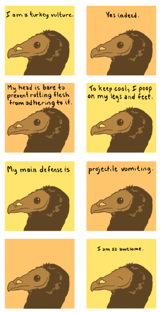 turkey-vulture.gif