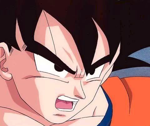 dragon ball z dragon ball z