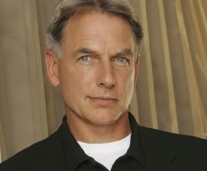 gibbs_ncis_news_2836.jpg