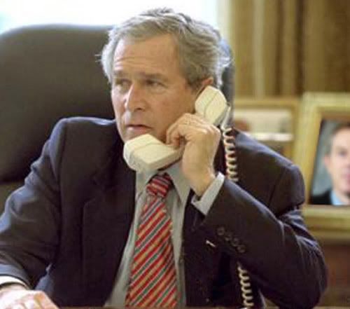 bush Pictures, Images and Photos