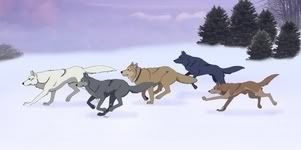 Wolf's Rain Pictures, Images and Photos