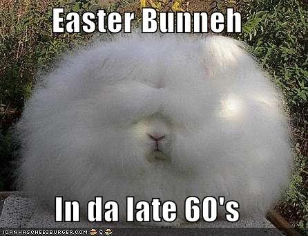 happy easter funny pics. happy easter funny images.