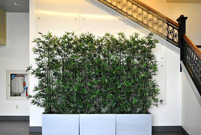 Mayer Building Lobby