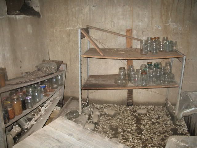 inside root cellar