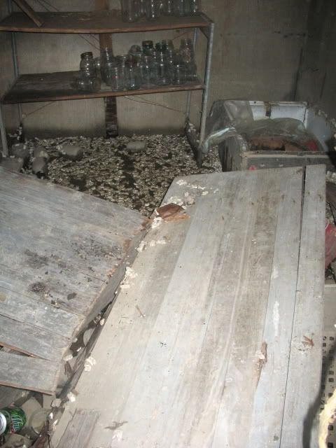 fallen door