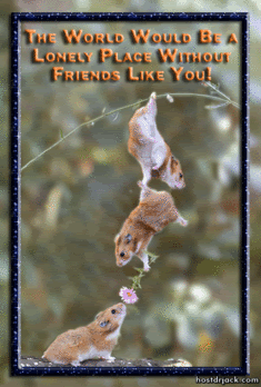 hyvesfriends.gif vrienden picture by joli4755