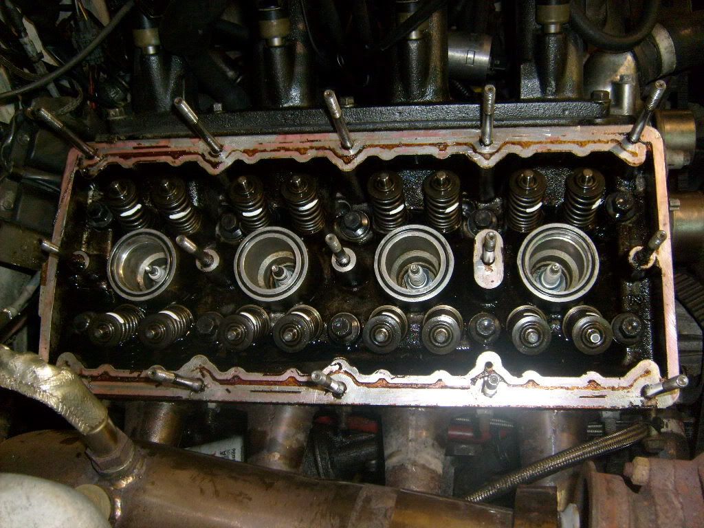 S6302931.jpg