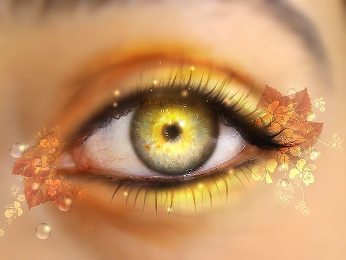 Orange Eye Photo by sessy_lover18 Photobucket