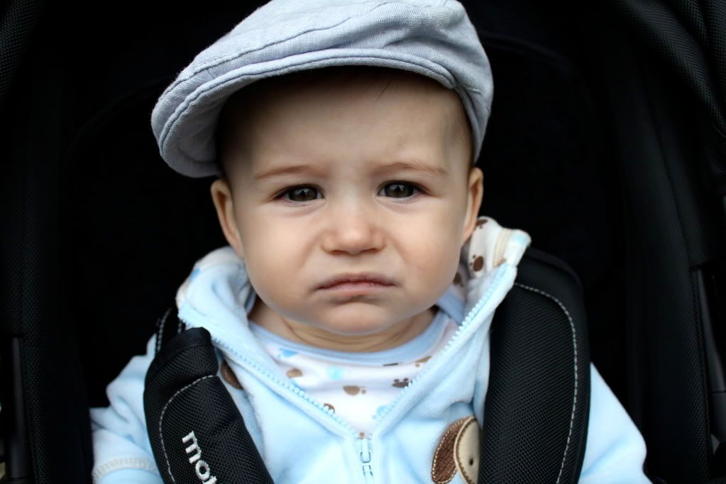 IMAGE: http://i294.photobucket.com/albums/mm104/tomashandmilly/Canon%20550D%20pics/IMG_0284-1.jpg