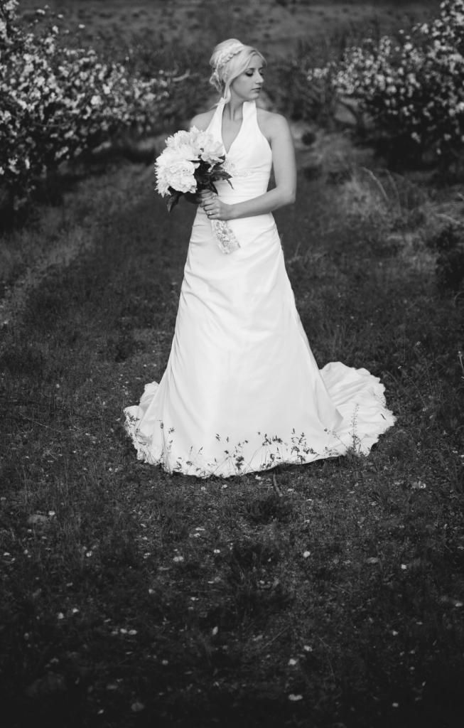  photo Bridals_7363.jpg