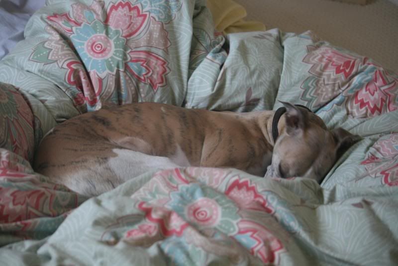 20090119_1591.jpg