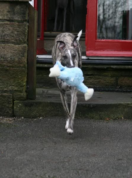 20090122_1636_edited-1.jpg