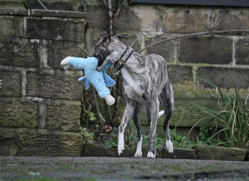 20090122_1654_edited-1.jpg