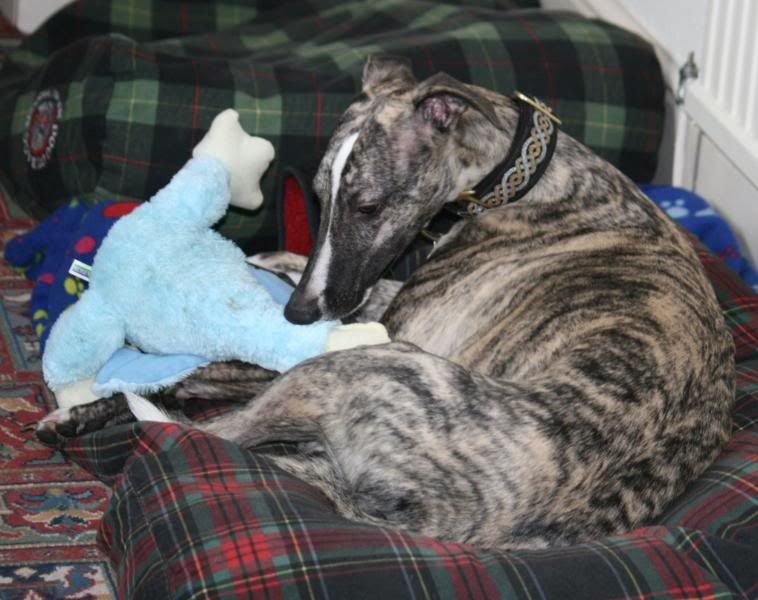 20090122_1656_edited-1.jpg