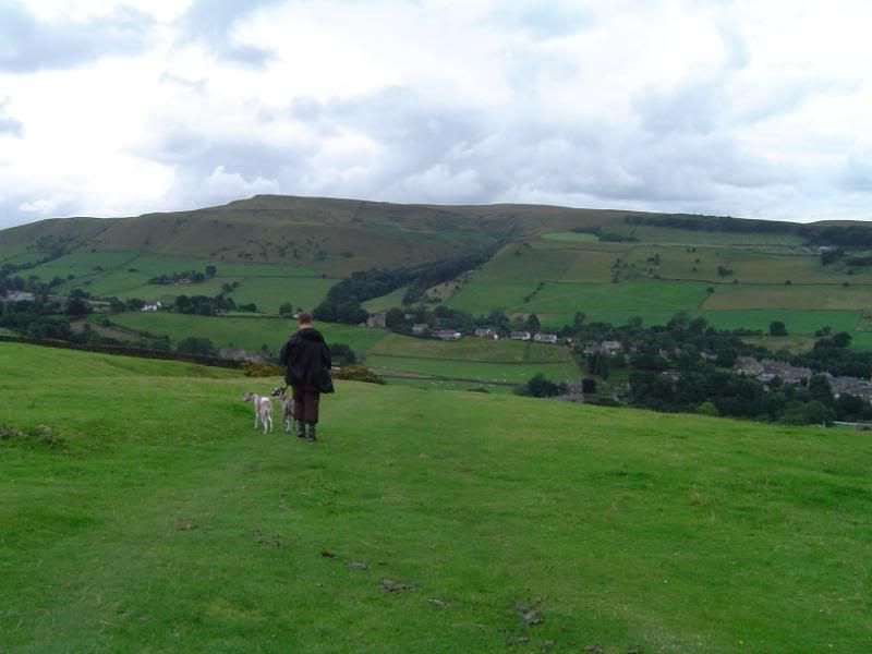 Hayfield11-08-0812.jpg