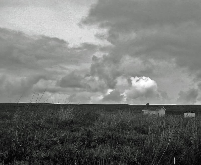 Hayfield11-08-088ccc.jpg