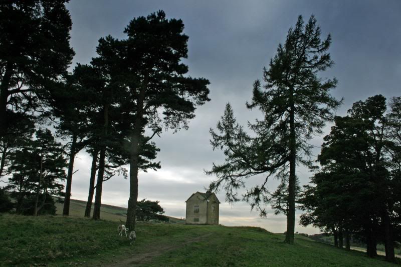 LymePark6Oct0826.jpg