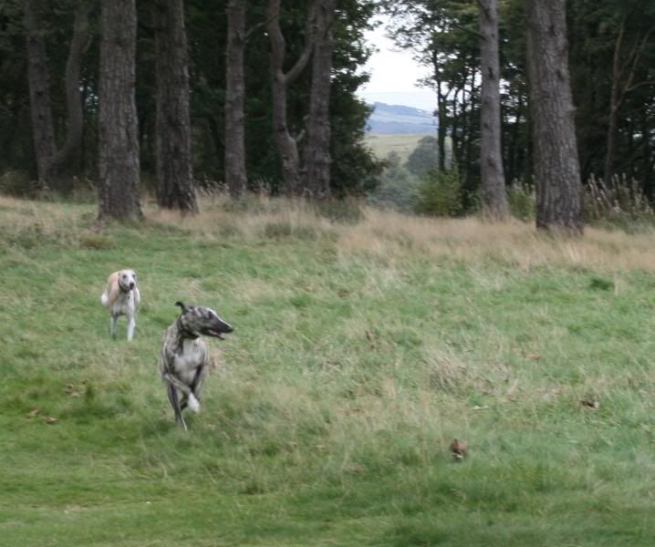 LymePark6Oct0828.jpg