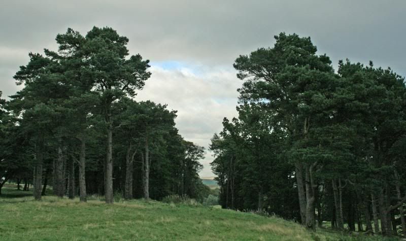 LymePark6Oct0829.jpg