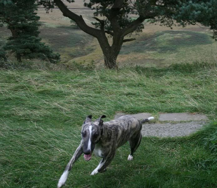 LymePark6Oct0830.jpg