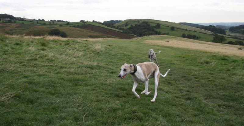 LymePark6Oct0831.jpg