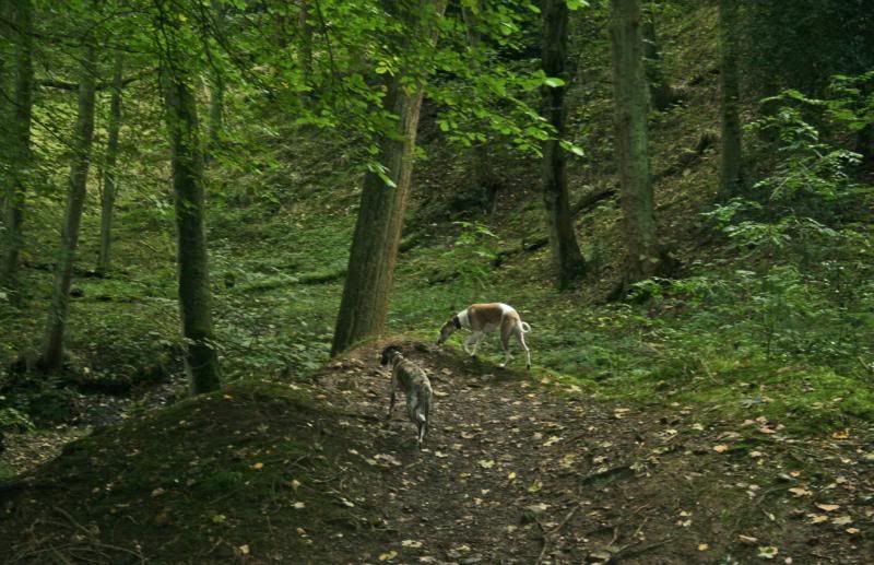 LymePark6Oct0837.jpg