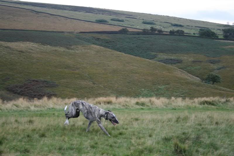 LymePark6Oct084.jpg