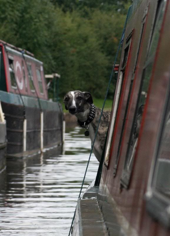 MacclesfieldCanal24.jpg