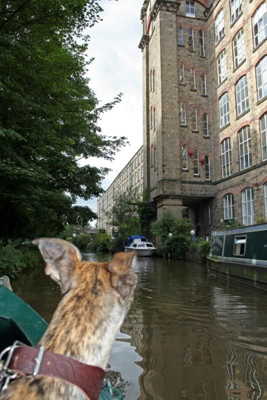 MacclesfieldCanal66.jpg