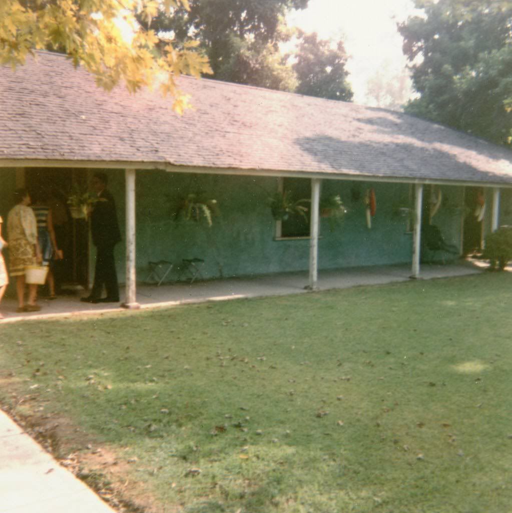 Would you expose the logs of an old home? - Homesteading Questions