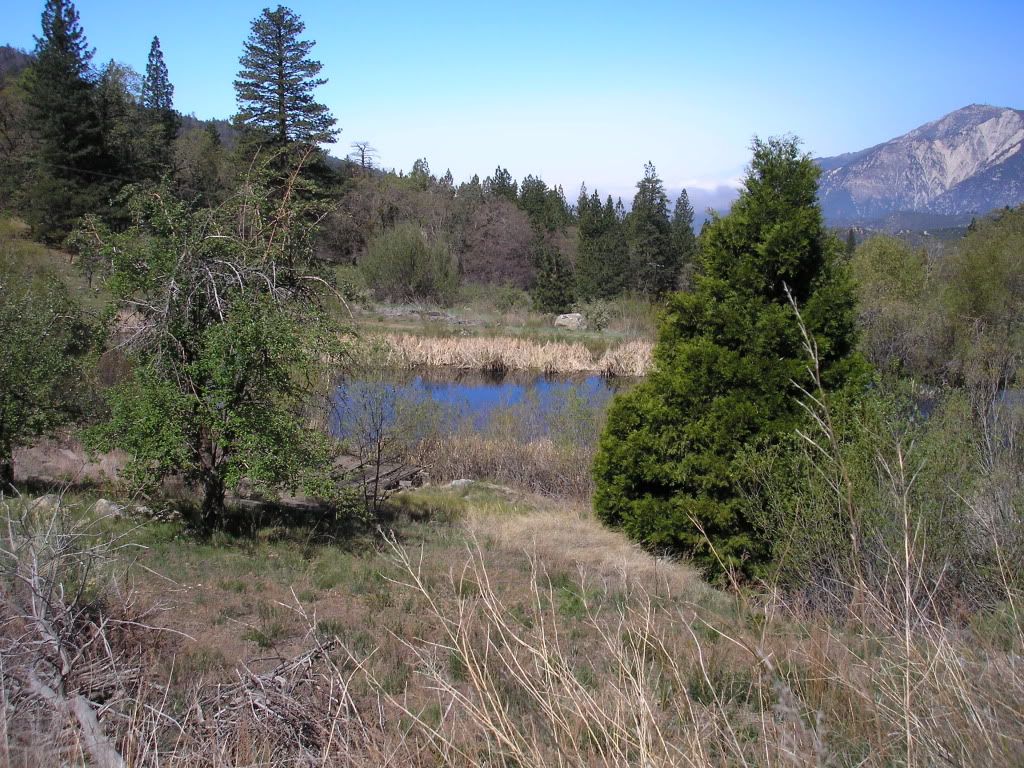 turning swamp into pond Homesteading Forum