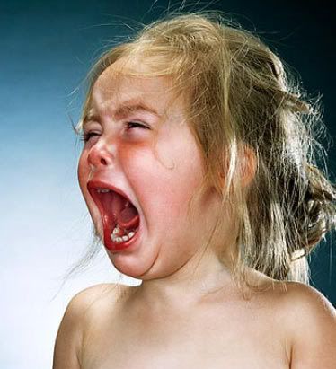 Stone House- Windows Covered - Homesteading Questions