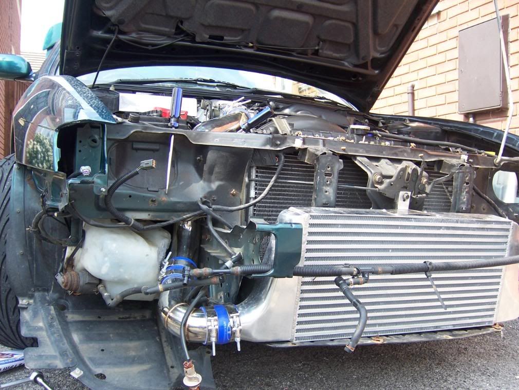 [Image: 100_0767.jpg]