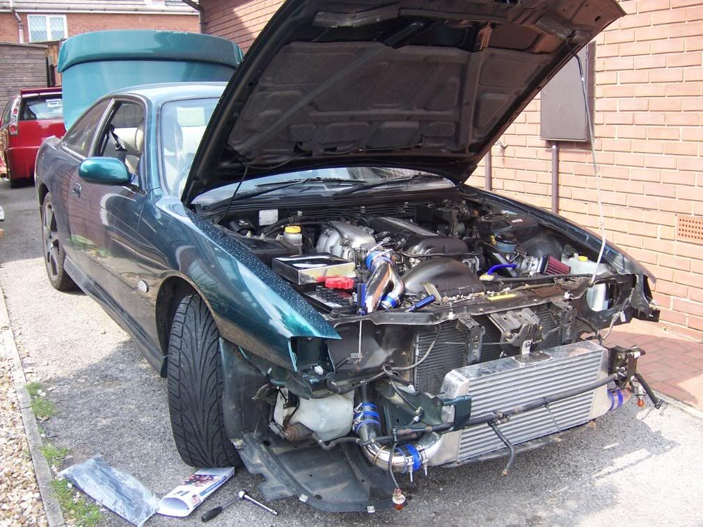 [Image: 100_0768.jpg]