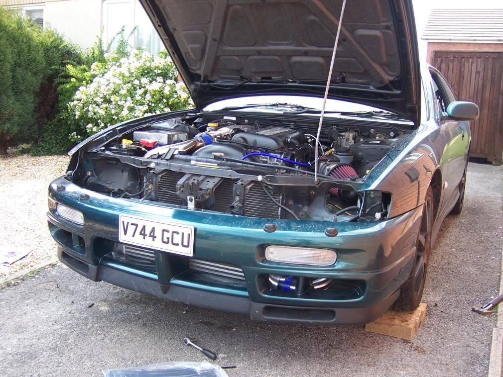 [Image: 100_0770.jpg]