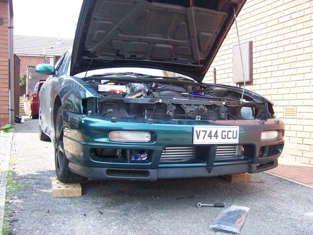 [Image: 100_0771.jpg]