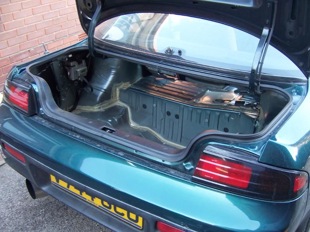 [Image: 100_0772.jpg]