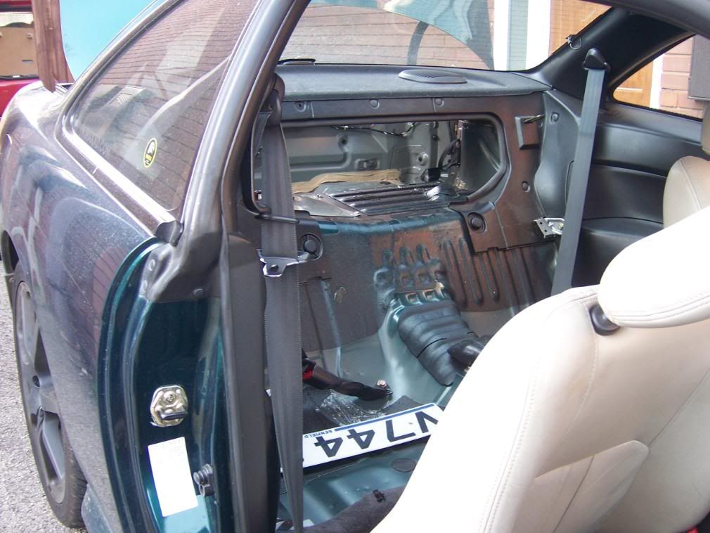 [Image: 100_0774.jpg]