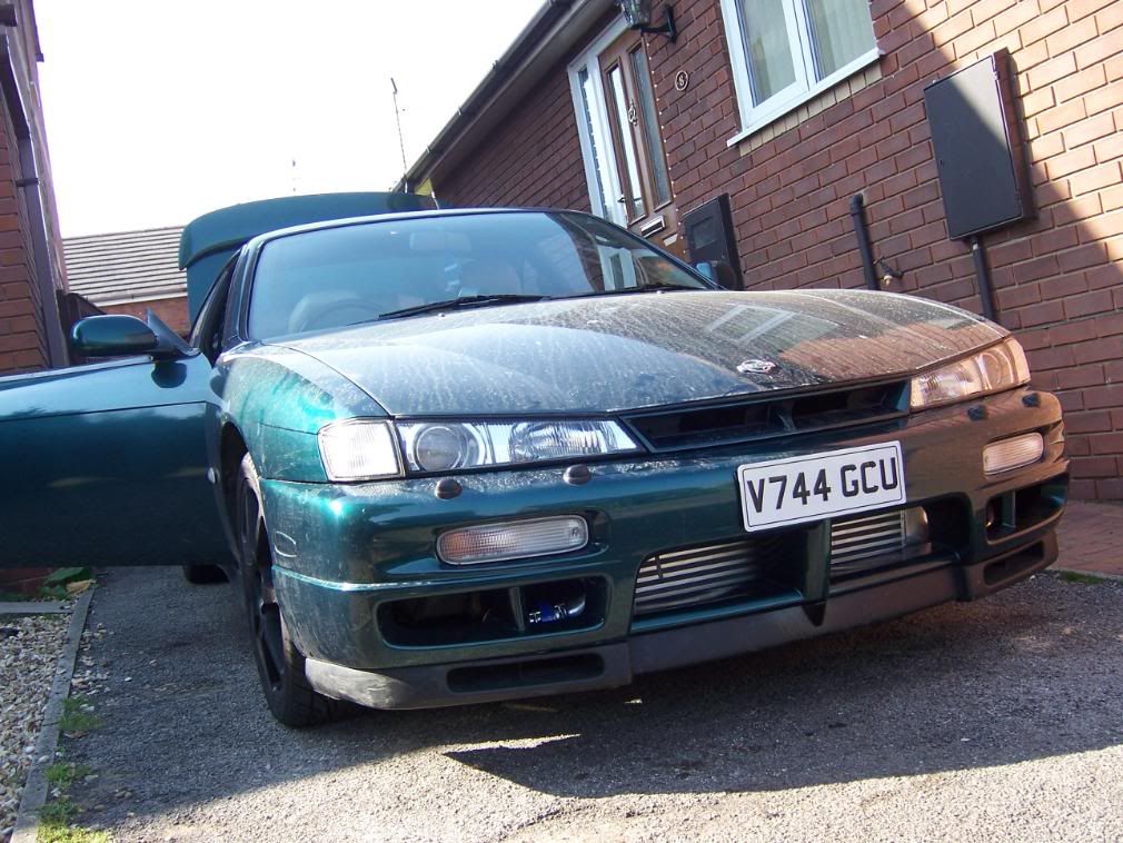 [Image: 100_0775.jpg]