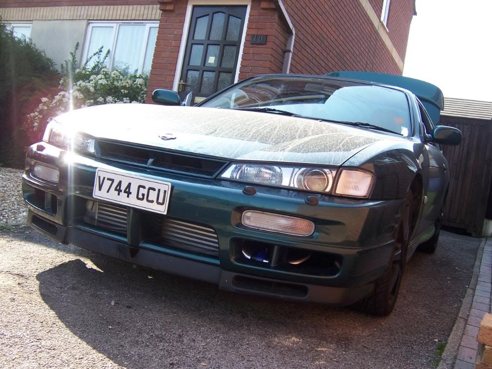 [Image: 100_0776.jpg]