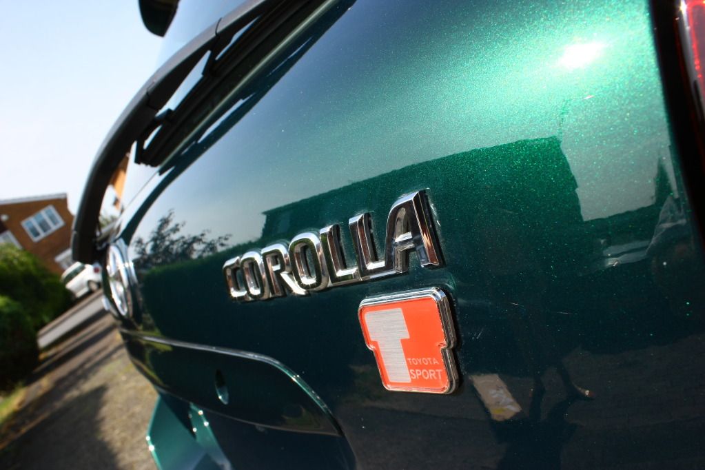 [Image: IMG_6196_zps34a78047.jpg]