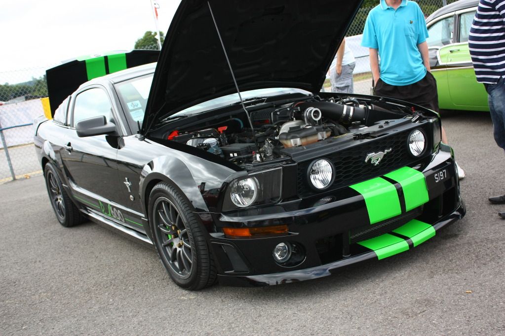 [Image: IMG_6282_zpsdfdd8b3b.jpg]