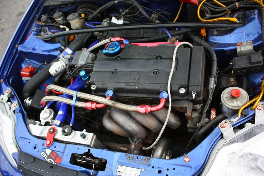 [Image: IMG_6324_zpsa5680b9a.jpg]