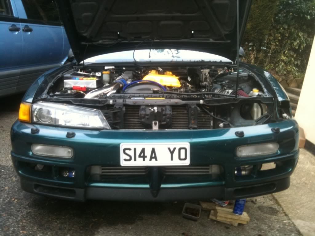 [Image: photo-8.jpg]