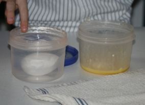 brain, eggs