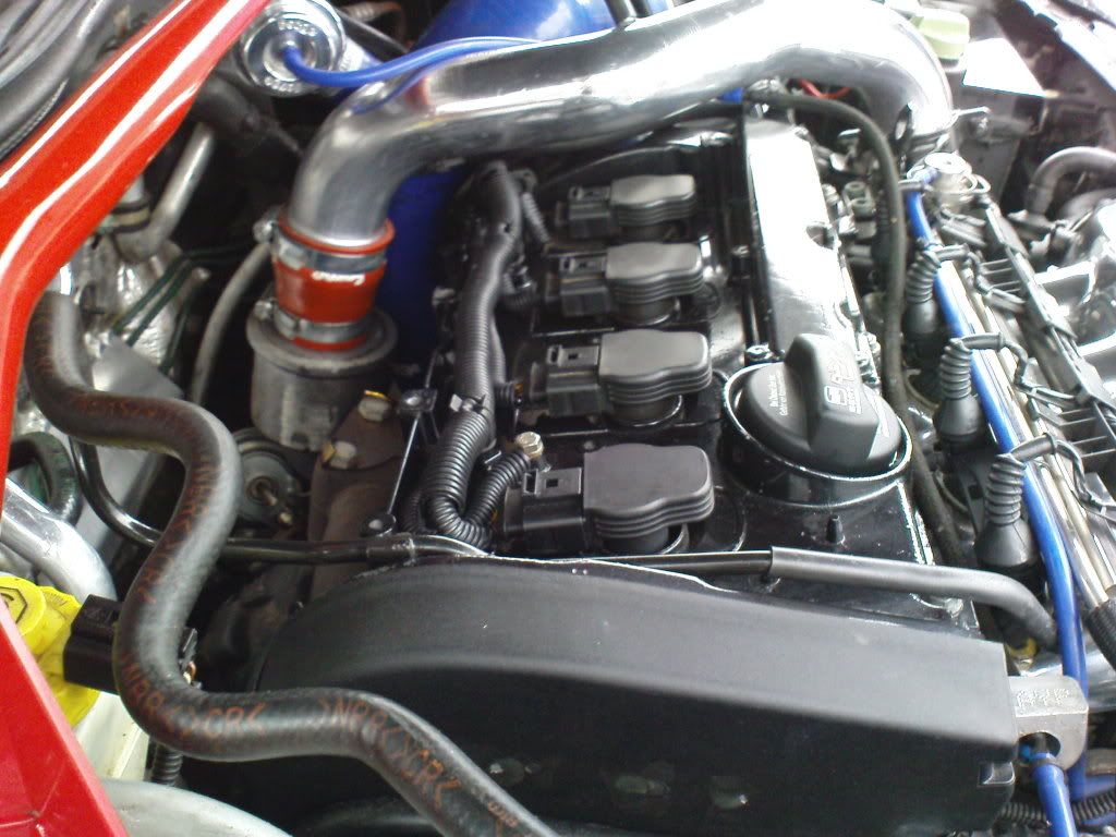 DSC00058.jpg