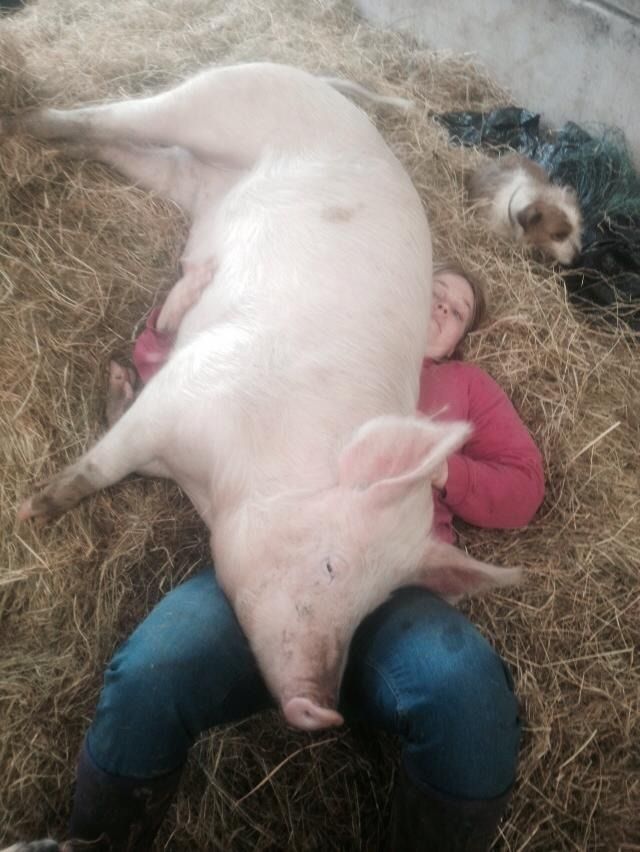 robyn%20and%20pig.jpg