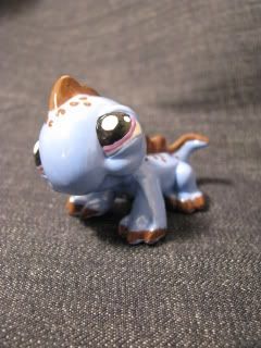 November085153.jpg Littlest pet shop image by emmasteve_2008 November085153.jpg Littlest pet shop image by emmasteve_2008