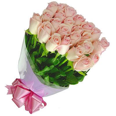 roses photo: ROSES PCFC07-AquaBaby.jpg