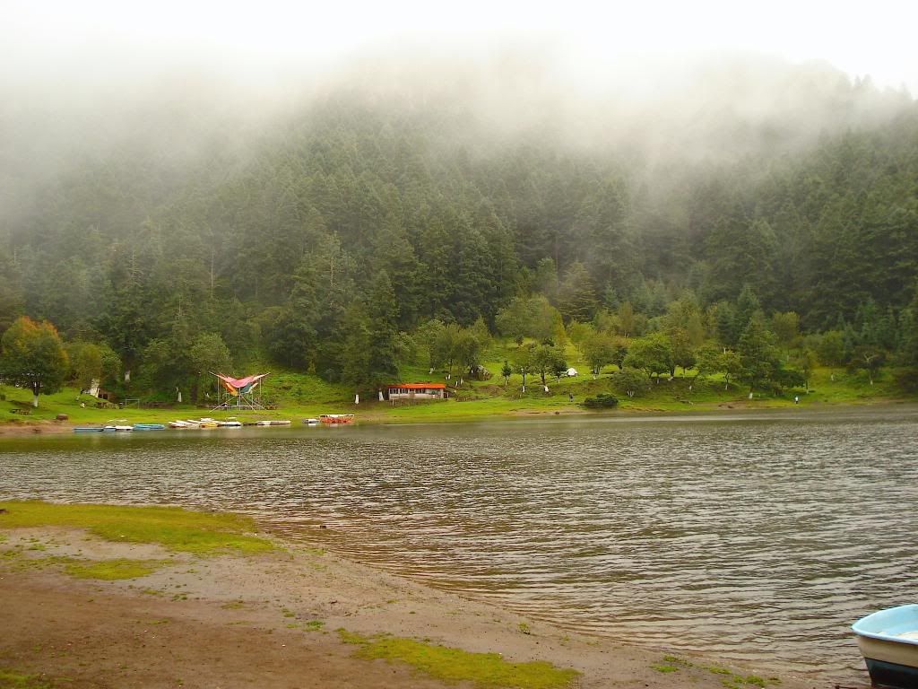 neblina neblina